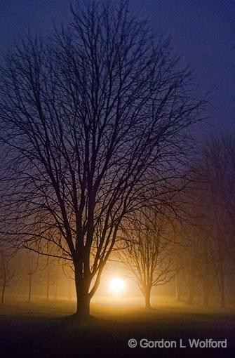 Foggy Lockstation Trees_19865-77.jpg - Photographed along the Rideau Canal Waterway near Smiths Falls, Ontario, Canada.
